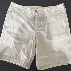 Hollister Men's Tan Flat Front Shorts